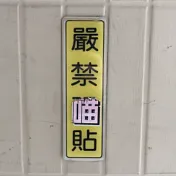 字型百變怪
