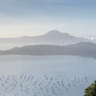李水怪