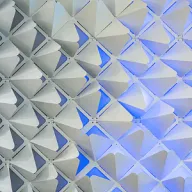 库蕾