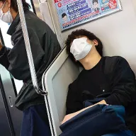 白菜