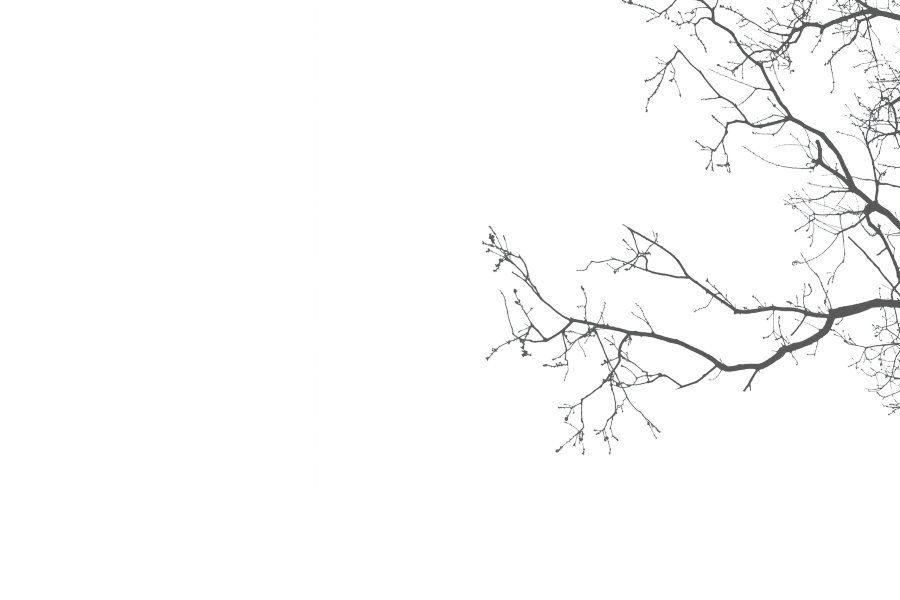 282 款 Keyshot 渲染灯光剪影 PNG 贴图