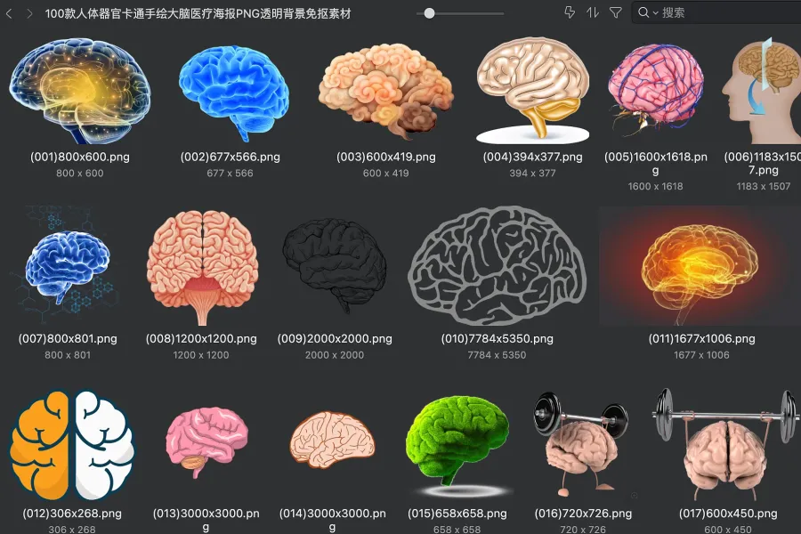 百款大脑插画 PNG 免抠素材