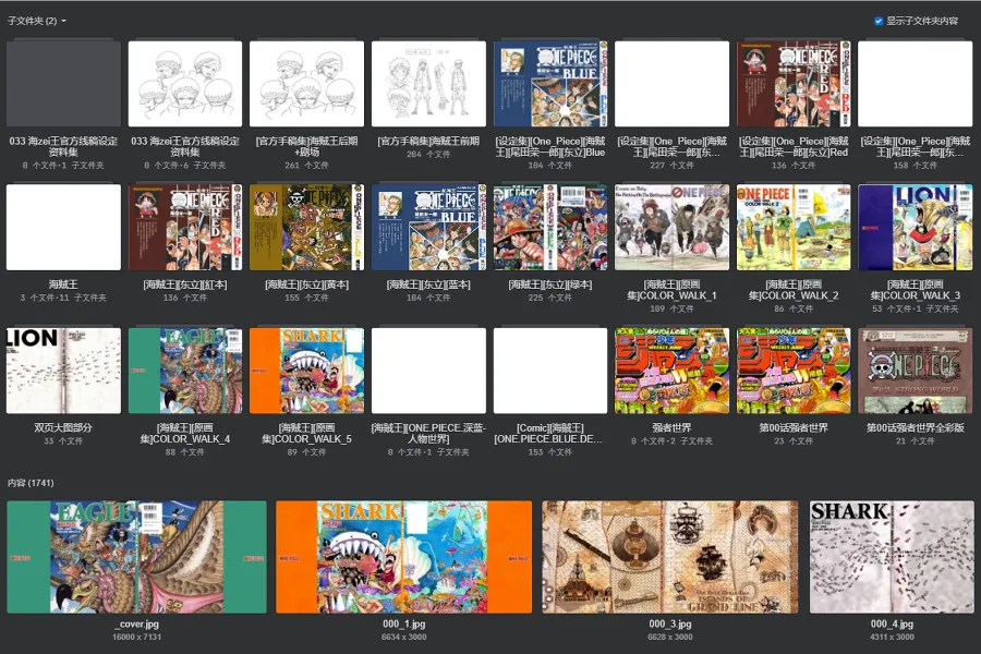 《海贼王》设定集