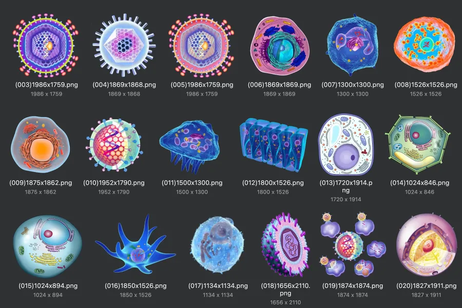 150 款细菌生物细胞彩色插画 PNG 免抠素材