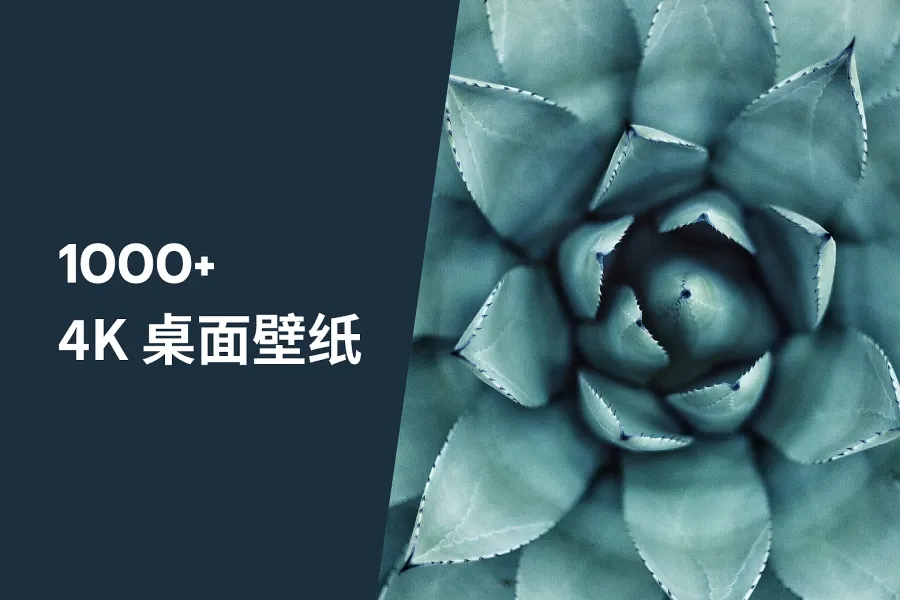 1000+ 张 4K 桌面壁纸