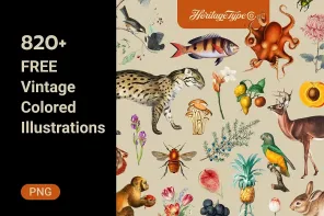 Retro Focus: Introducing Vintage Color Illustrations