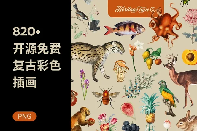 探索复古美学！800+ 复古彩色插画，打造质感设计