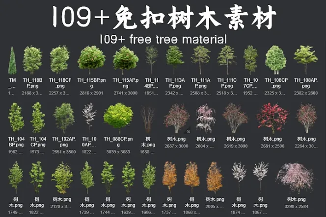 109+ 免扣树木素材