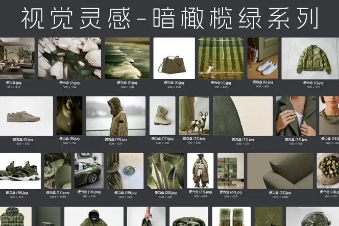 58 张视觉灵感-暗橄榄绿系列