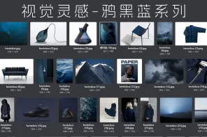 157 张视觉灵感-鸦黑蓝系列