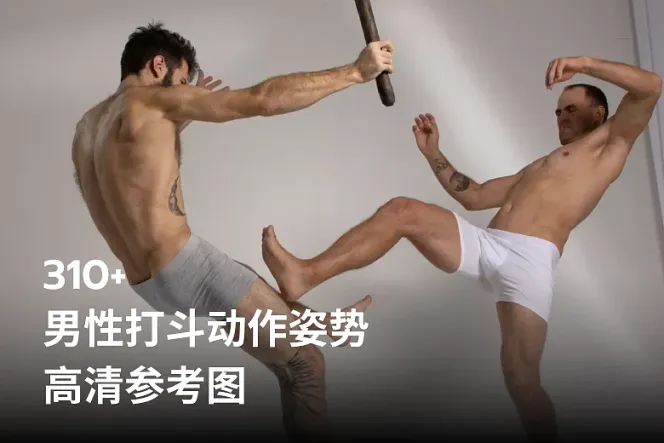 310 张男性打斗动作姿势高清参考图