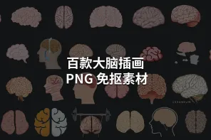 百款大脑插画 PNG 免抠素材