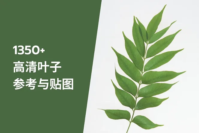 1350+ 高清叶子参考与贴图