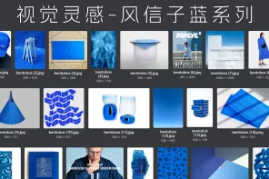 74 张视觉灵感-风信子蓝系列