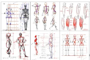 200+ 人体剖析线稿
