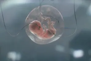 《吾乃母亲》电影截图