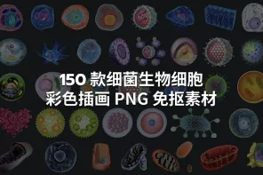 150 款细菌生物细胞彩色插画 PNG 免抠素材
