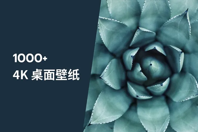 1000+ 张 4K 桌面壁纸